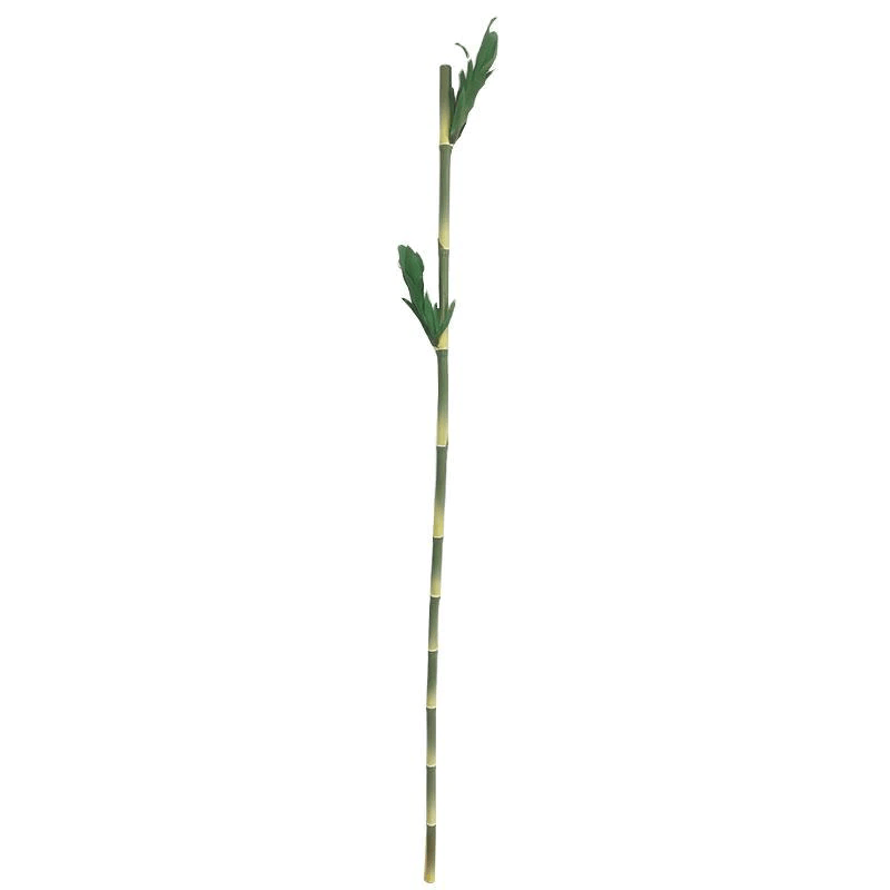 faux lucky bamboo stalks Artificial Bamboo Stalk