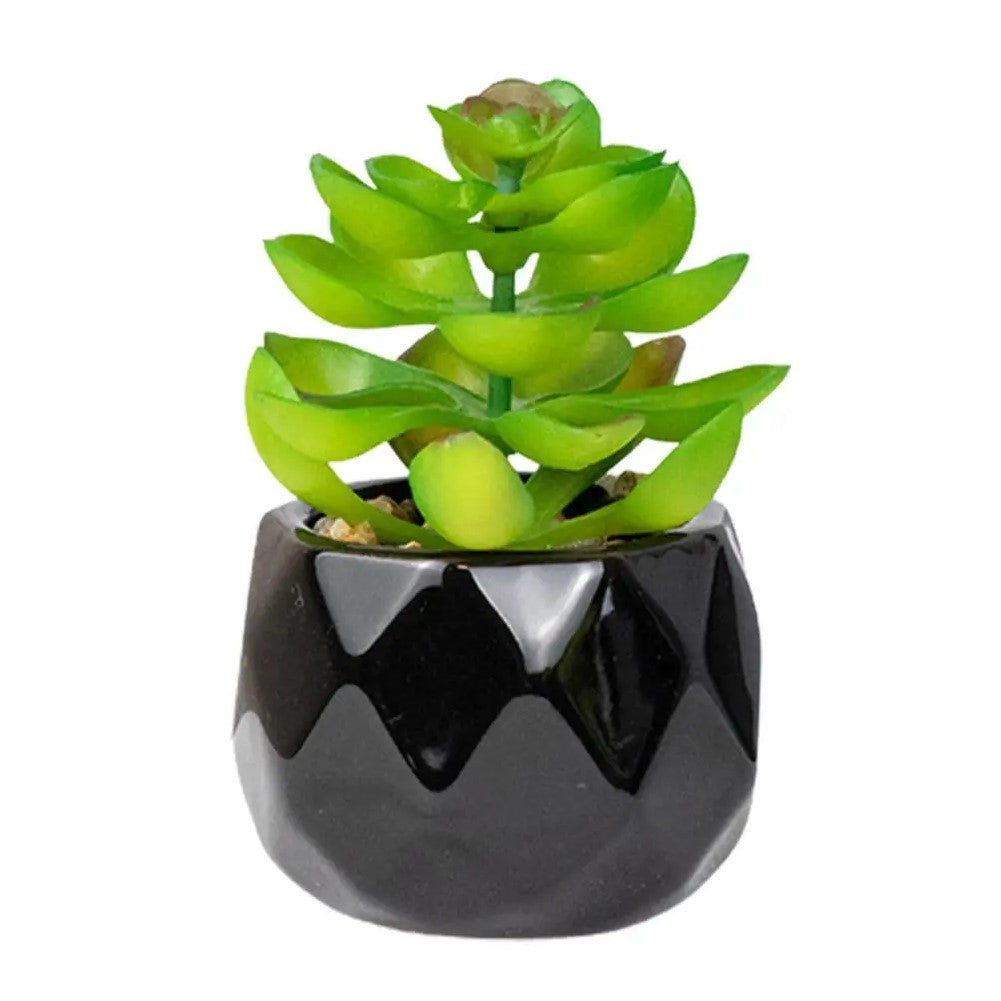 succulent sedum nussbaumerianum Sedum Nussbaumerianum Artificial Plant