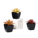 3 Small Agave Artificial Plants With Black Pot