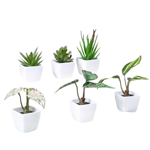 6 Artificial Plants With White Pot