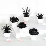 6 Black Artificial Plants With White Pot