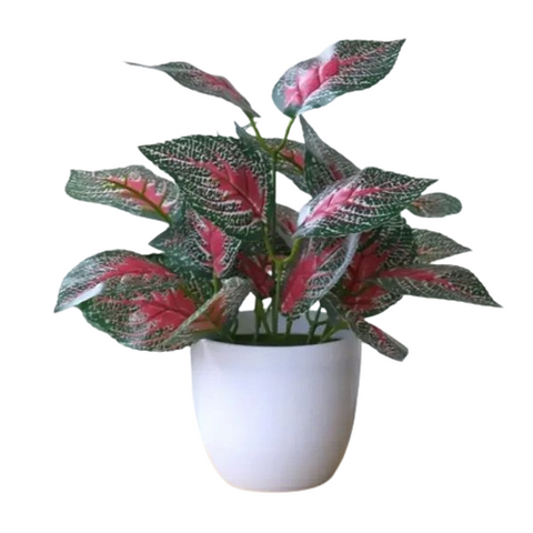 Aglaonema Artificial Plant