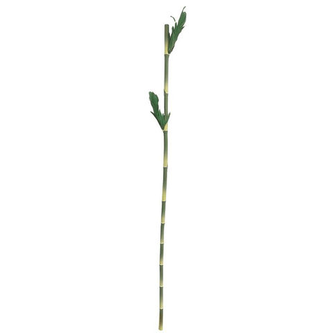 Artificial Bamboo Stalk