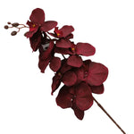 Artificial Dark Red Orchid Branches