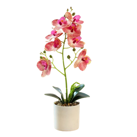 Artificial Multicolor Orchid Pot