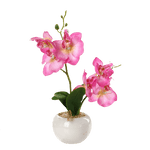 Artificial Orchid Pot