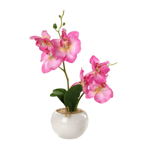 Artificial Orchid Pot