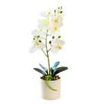 Artificial White Orchid Pot