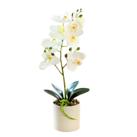 Artificial White Orchid Pot