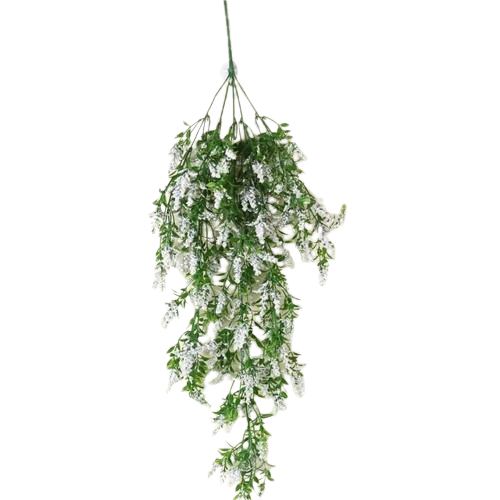 blitz philodendron Philodendron Gloriosum 'Zebra' – Rare, Stunning, Tropical Foliage main image 0