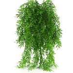 Artificial Willow Drooping Plant