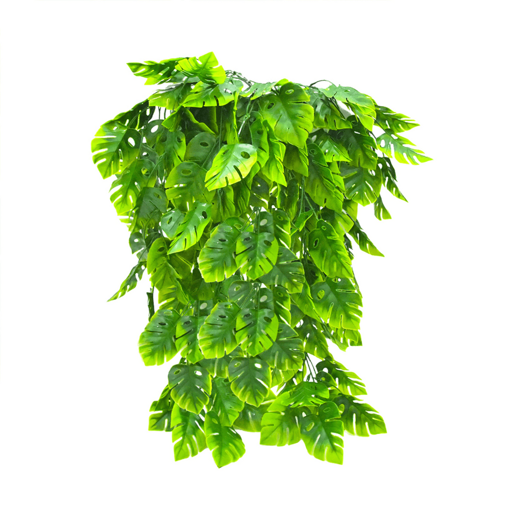 swiss cheese plant dropping leaves Artificial Swiss Cheese Plant Drooping Plant