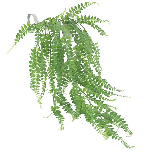 Artificial Fern Drooping Plant