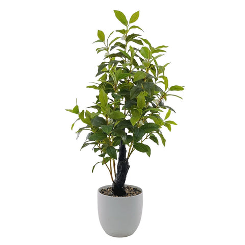 Artificial Green Osmanthus Tree