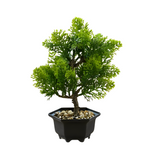 Artificial Podocarpus Bonsai Tree