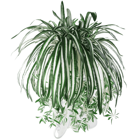 Artificial Spider Plant Drooping Plant