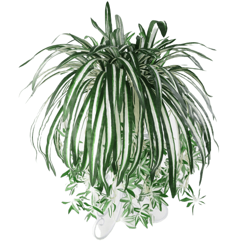 Artificial Spider Plant Drooping Plant