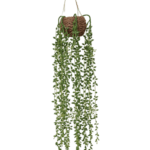 Drooping String Artificial String Of Pearls Drooping Plant | Zelda Shop