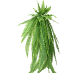 Artificial Tropical Fern Drooping Plant