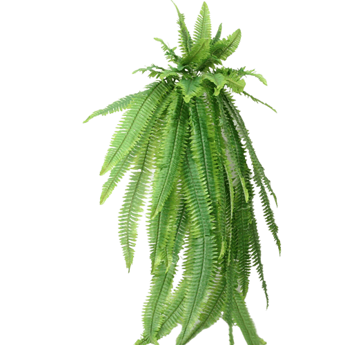 plastic tropical plants Artificial Tropical Fern Drooping Plant