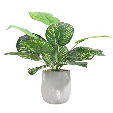 Calathea Ornata Artificial Plant