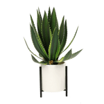 Century Artificial Plant