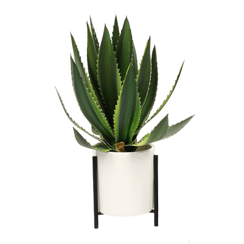 Century Artificial Plant