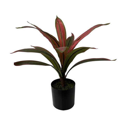 Cordyline Fruticosa Artificial Plant