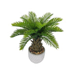 Cycas Revoluta Artificial Plant