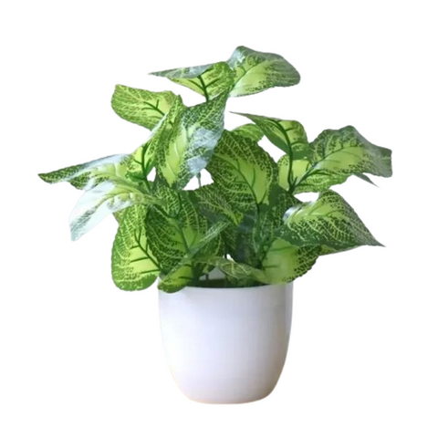 Dieffenbachia Amoena Artificial Plant