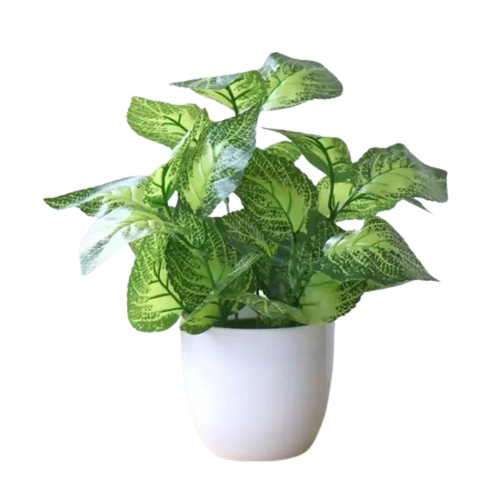 dieffenbachia amoena plant Dieffenbachia Amoena Artificial Plant