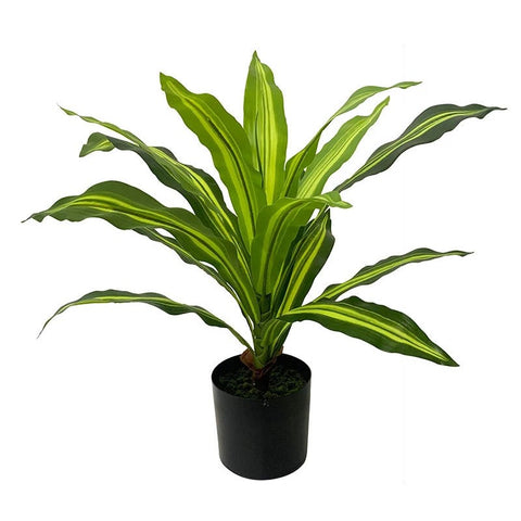 Dracaena Fragrans Artificial Plant