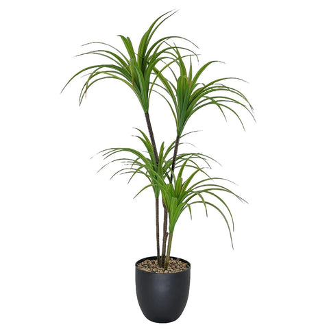 Dracaena Reflexa Artificial Plant