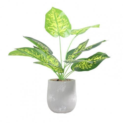 Epipremnum Aureum Artificial Plant