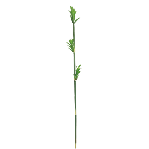 Fake Bamboo Stalk