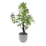 Ficus Bonsai Artificial Plant