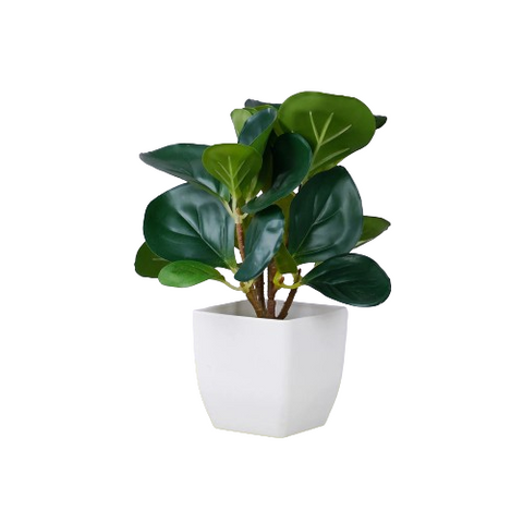 Peperomia Magnoliifolia Artificial Plant