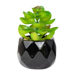 Sedum Nussbaumerianum Artificial Plant