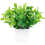 Small Cape Jasmine Artificial Plant