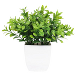 Small Common Boxwood Artificial Plant