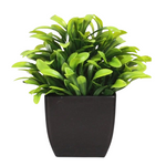 Small Euphorbia Neriifolia Artificial Plant