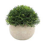 Small Green Artificial Plant