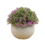 Small Purple And Green Artificial Plant