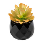 Succulent Orange Artificial Plant