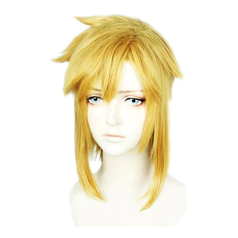 Zelda Link Hair Cosplay